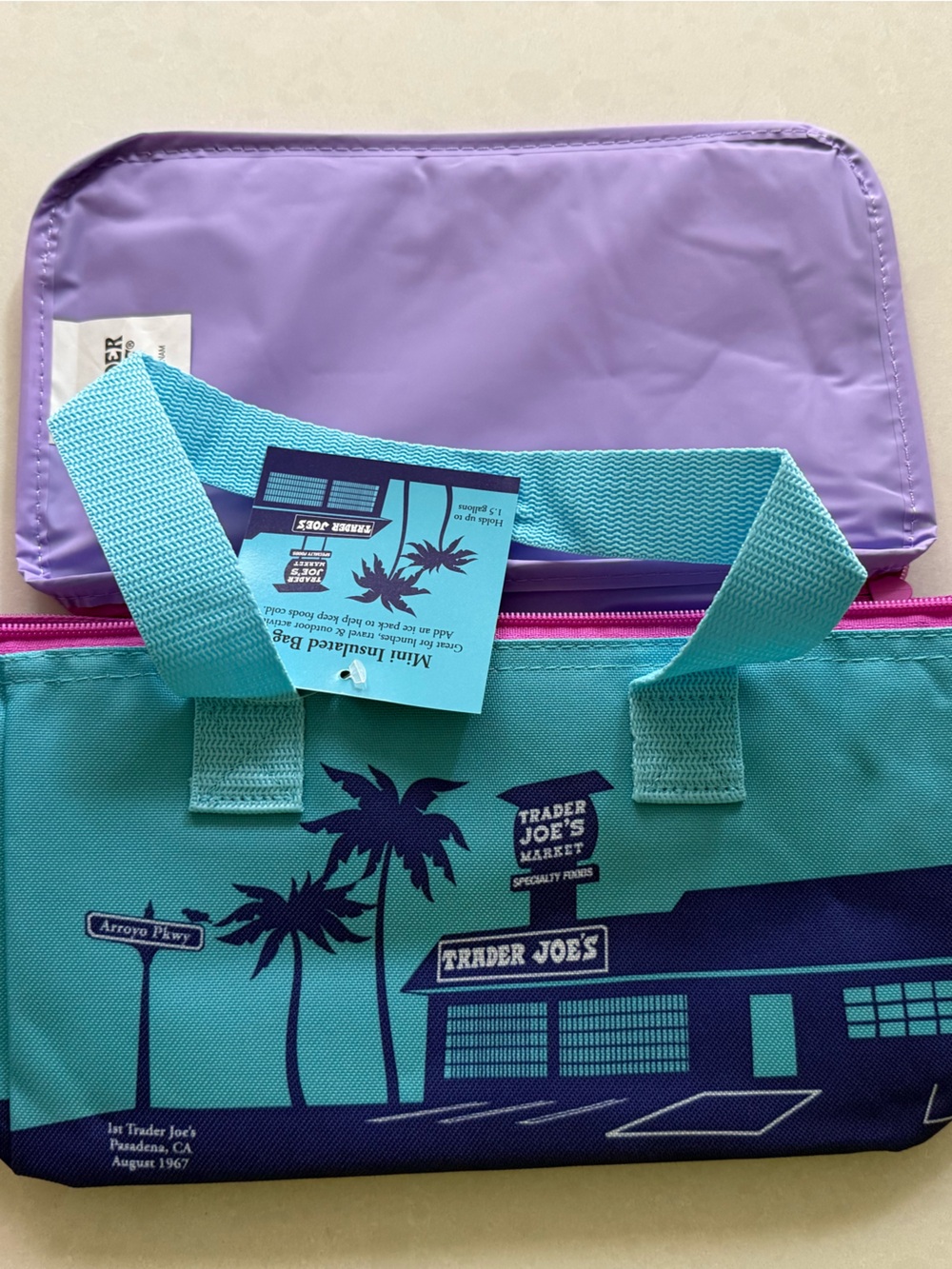 Trader Joe's Teal & Purple Insulated Lunch Tote